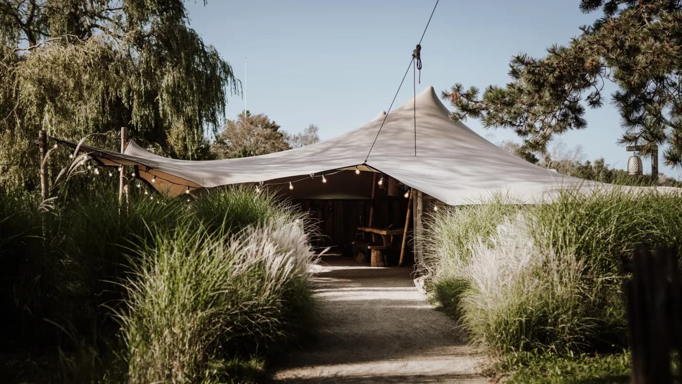 De ingang van een beige stretchtent op het gras, met festoonverlichting binnen en hoge siergrassen aan weerszijden van het pad dat de tent in loopt.