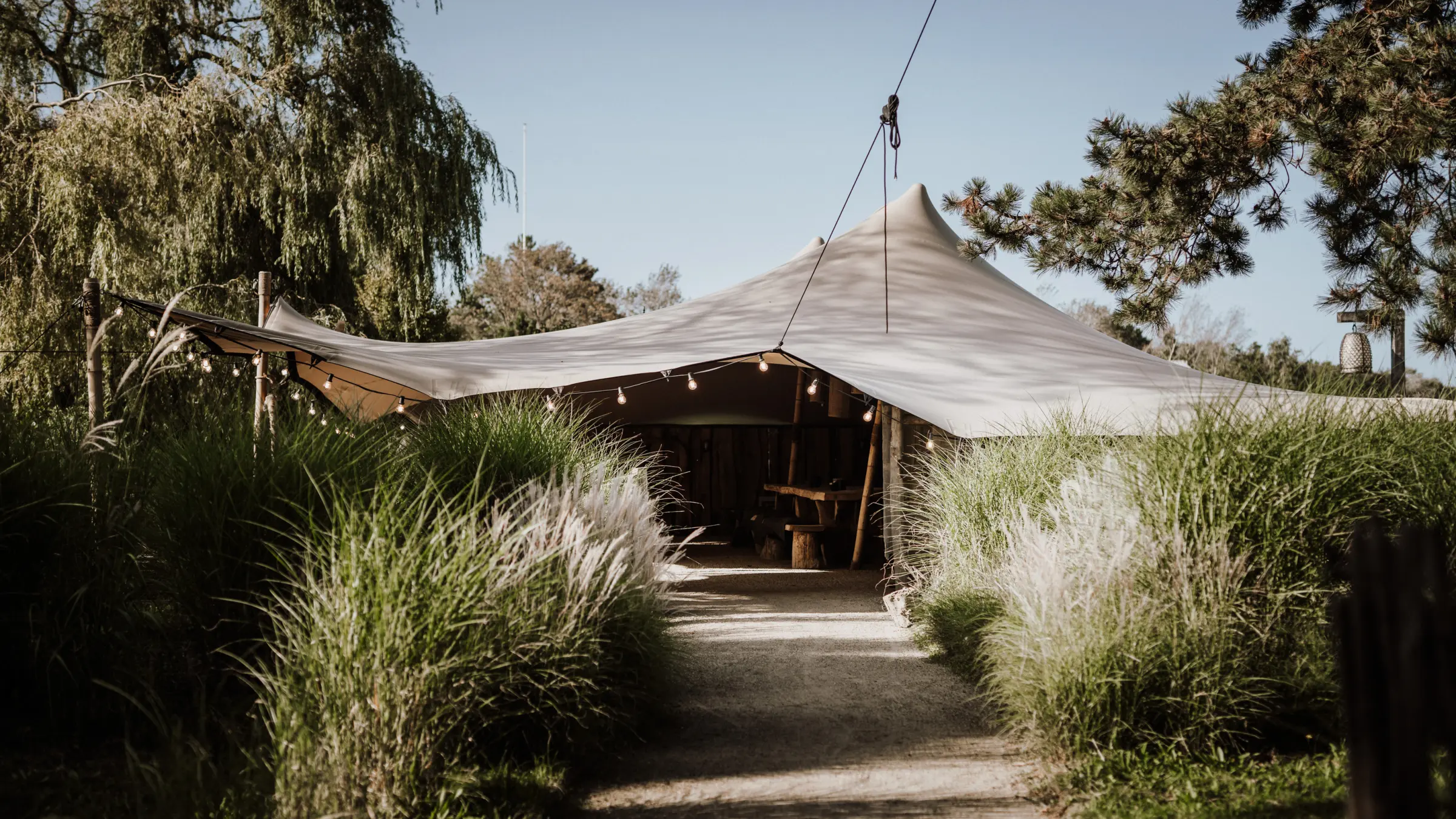 De ingang van een beige stretchtent op het gras, met festoonverlichting binnen en hoge siergrassen aan weerszijden van het pad dat de tent in loopt.