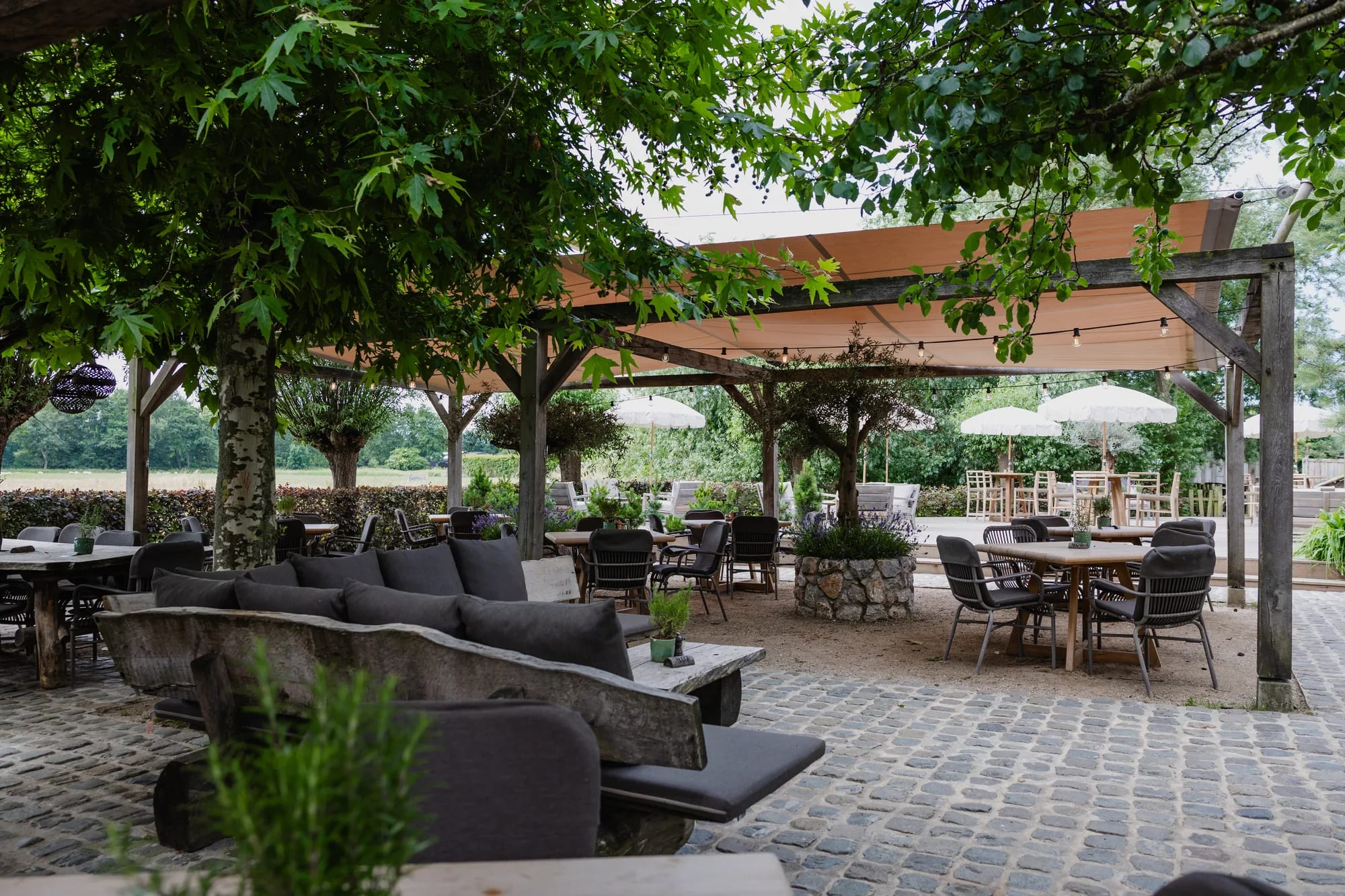 Een lange houten loungebank met grijze kussens onder de pergola, in de schaduw van een druivenrank en oude bomen. Daarachter tafels met stoelen op de klinkers, witte parasols verderop en het veld achter de haag.
