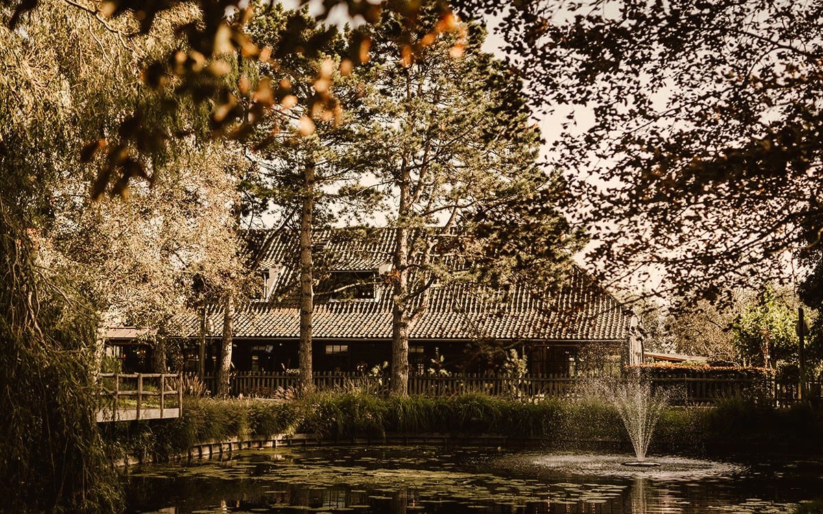 Het langgerekte pand met pannendak gezien over een vijver met waterlelies en een fontein. Op de voorgrond hangen takken van een treurwilg in beeld; tussen het gebouw en het water staan hoge dennen en een houten hek met rietkragen.