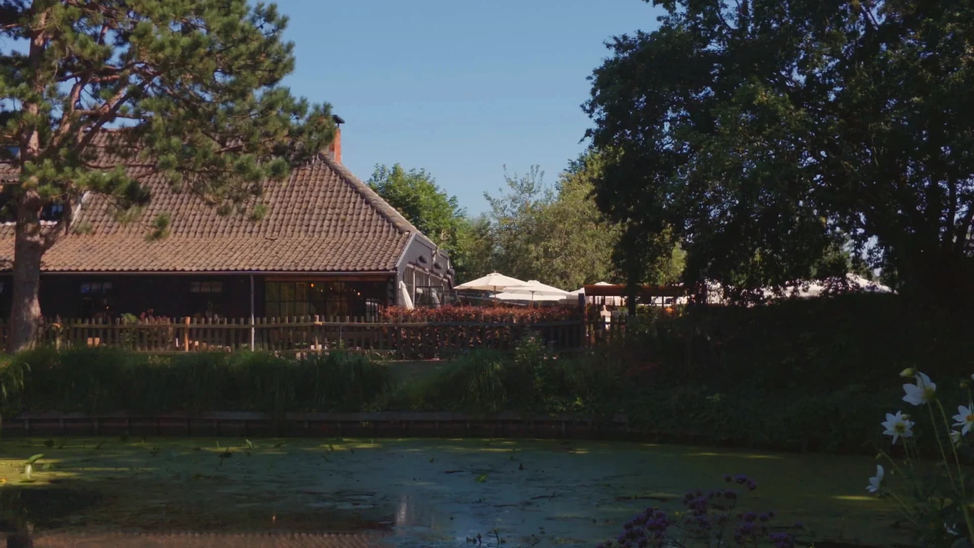 Het donkere houten huis met pannendak achter de vijver op een zomerdag: strakblauwe lucht, een hoge den links, kroos en waterlelies op het water, en achter het lage houten hek het terras met witte parasols. Rechtsonder steken witte dahlia's het beeld in.
