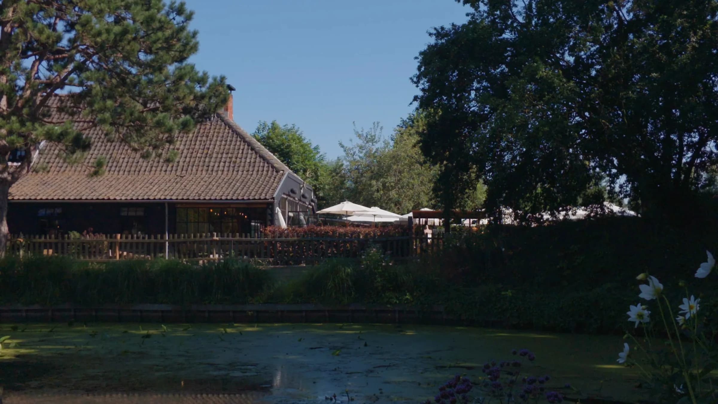 Het lange rieten dak van het huis achter de vijver op een zomerdag: witte parasols langs de gevel, riet en waterlelies op het water, strakblauwe lucht boven de bomen.