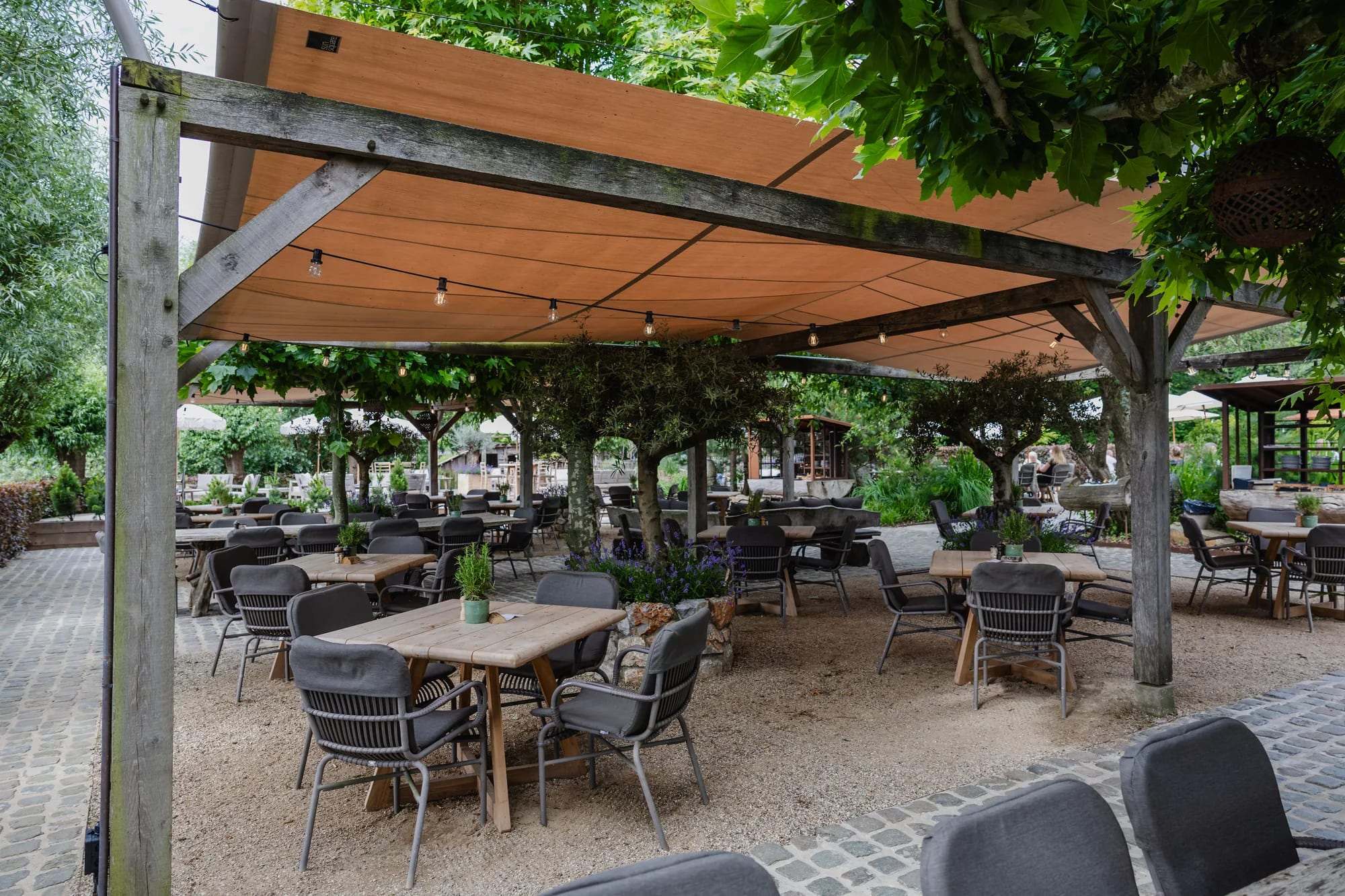 Het overdekte terras onder een strak gespannen zeil op houten balken, met een snoer peertjes eronder. Houten tafels met grijze rieten stoelen op een grindvloer, jonge bomen die door het dek heen groeien, en lavendel in de borders.